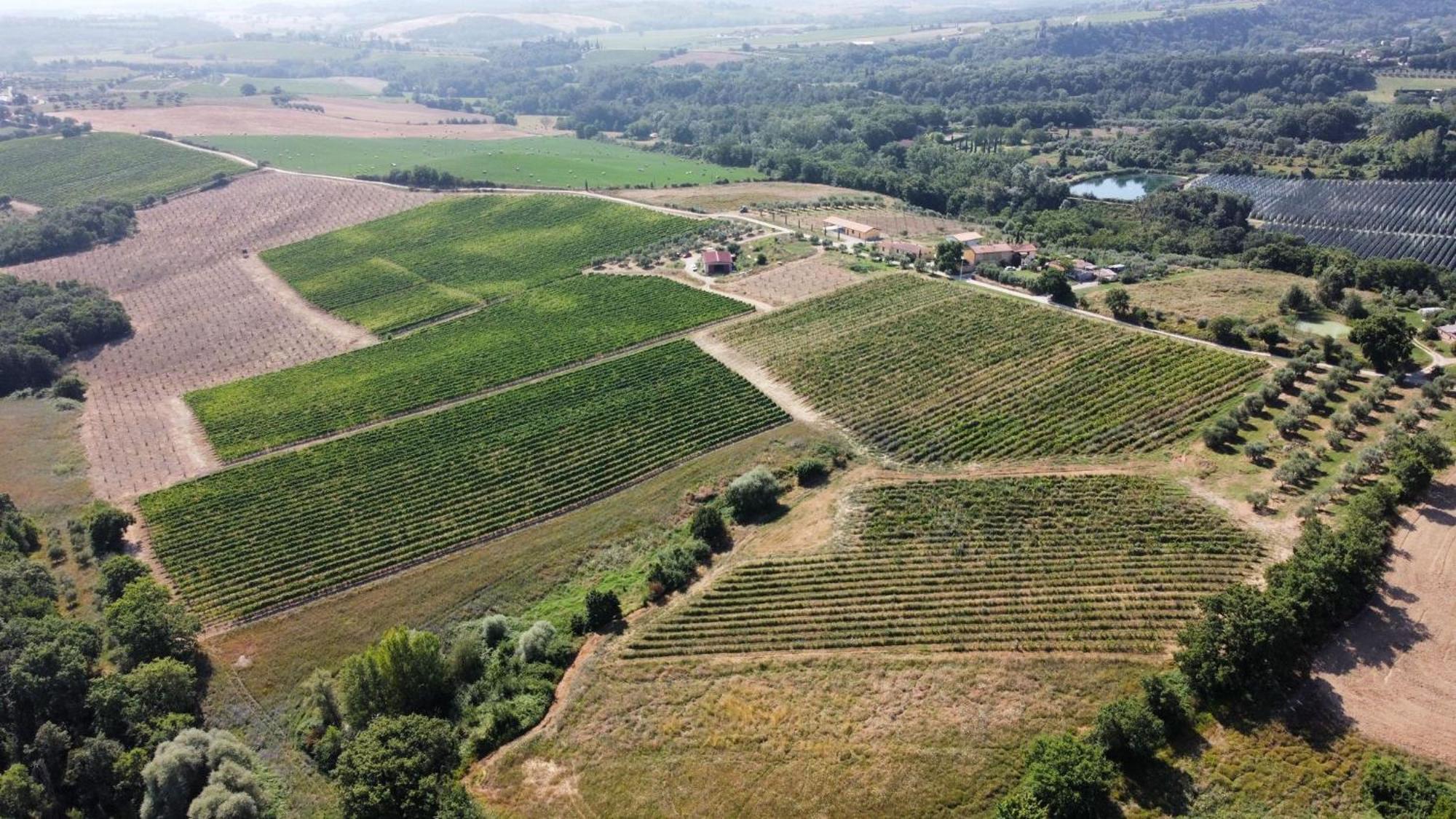 Agriturismo Podere Casa Al Vento Montepulciano Stazione Exterior foto